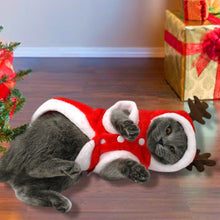 Cargar imagen en el visor de la galería, Christmas Cat Clothes